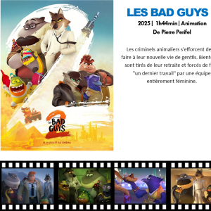 Bloc double tract - Les bad guys 2