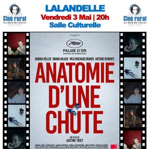 Lalandelle - Anatomie d'une chute - Affiche