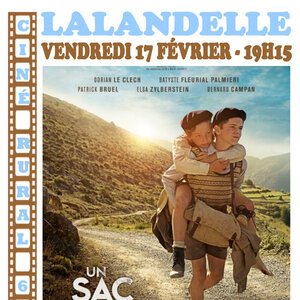 Affiche Un Sac de Billes Lalandelle