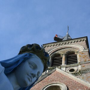 IMG 6553